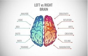 Left brain vs Right brain